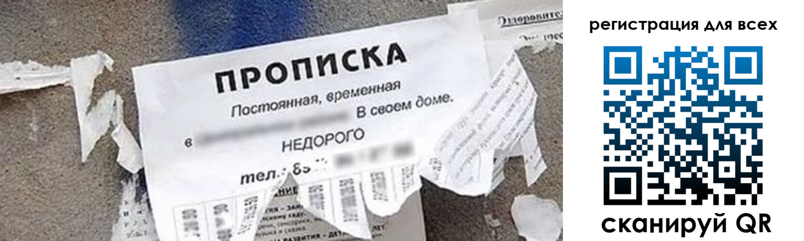 прописка поиск в Кораблино
